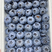 蓝莓基地大量上市全国发货薄雾优瑞卡LL25等