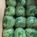 山东生菜球大叶生菜球大量上市生菜电商代发产地直发