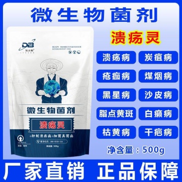 柑橘溃疡专用强效脂点黄斑炭疽病沙皮苹果槟榔果树微生物菌剂