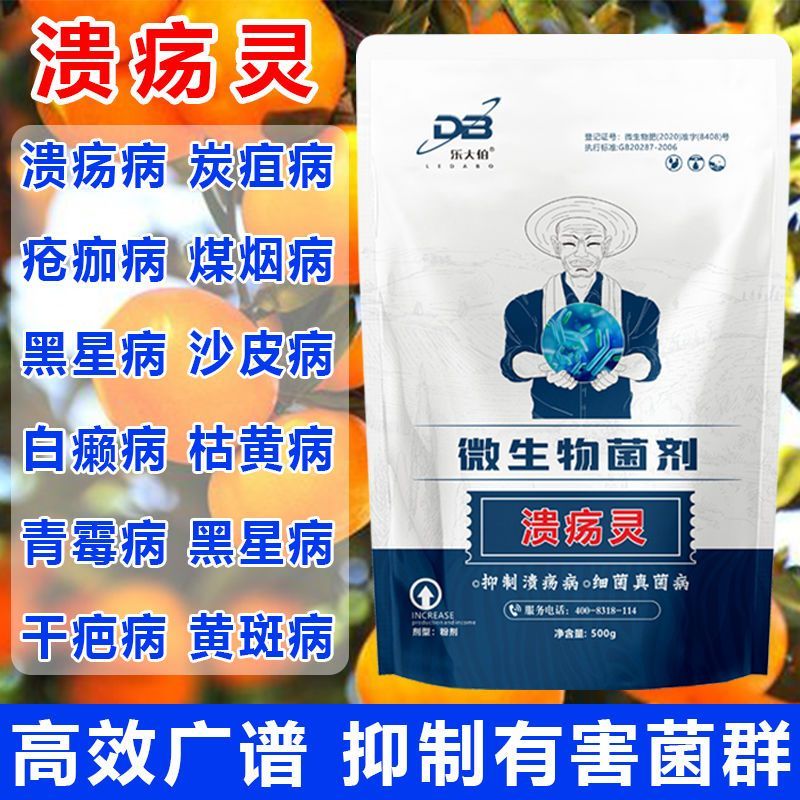 柑橘溃疡专用强效脂点黄斑炭疽病沙皮苹果槟榔果树微生物菌剂