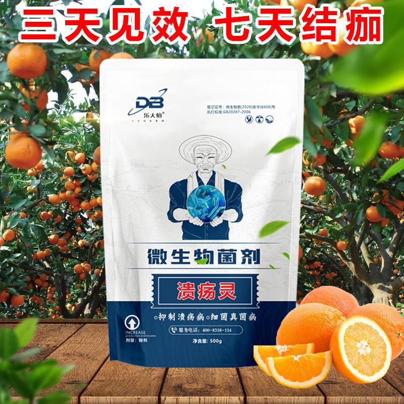 柑橘溃疡专用强效脂点黄斑炭疽病沙皮苹果槟榔果树微生物菌剂