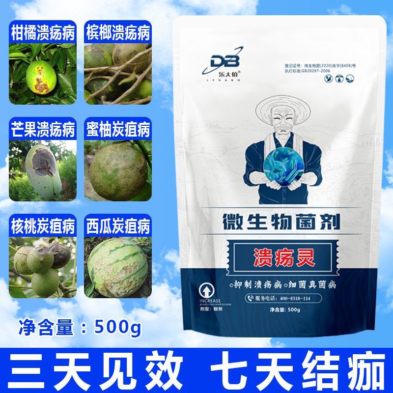 柑橘溃疡专用强效脂点黄斑炭疽病沙皮苹果槟榔果树微生物菌剂
