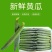 山东精品密刺黄瓜产地直发/大量上市/支持代发/视频验货