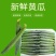 山东精品密刺黄瓜产地直发/大量上市/支持代发/视频验货