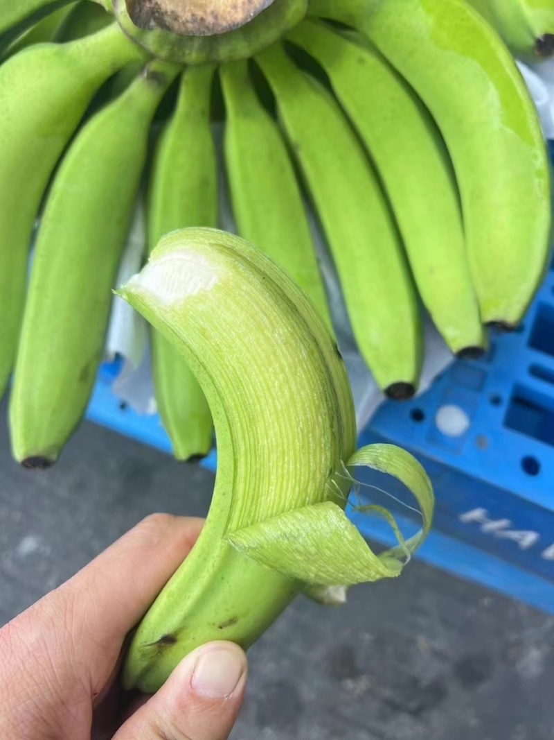 精品二级蕉，核弹级别，零损耗，全国可发，需要的联系