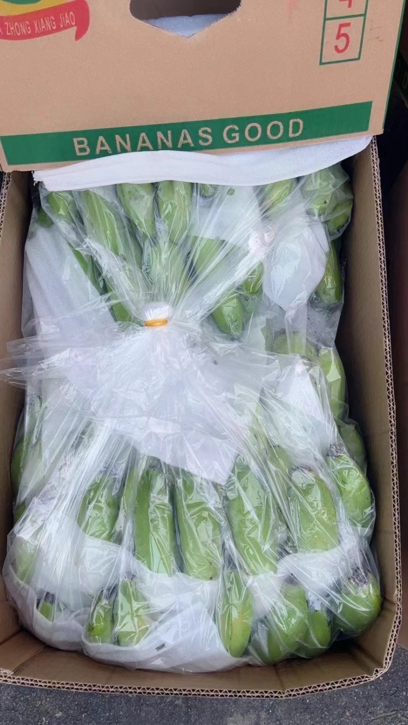 精品二级蕉，核弹级别，零损耗，全国可发，需要的联系
