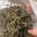 鹅不食草保庆药业批发鹅不食草鹅不食实物拍摄