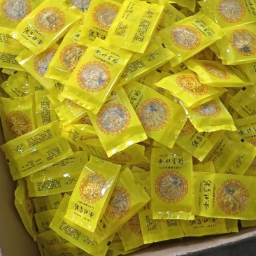 天然四川金丝皇菊