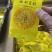 天然四川金丝皇菊