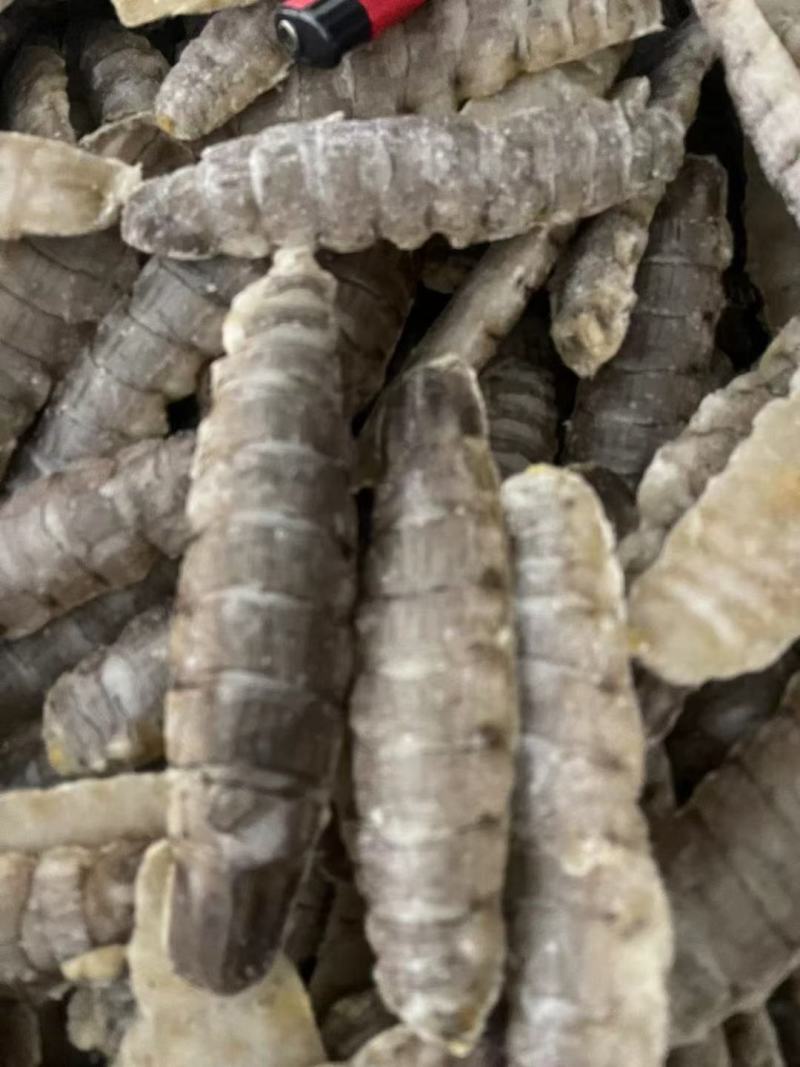 虾爬肉，货源充足，价格便宜，个头大，清理干净，干冰货