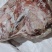 白条分割肉后腿肉前槽肉五花肉，大块分割肉