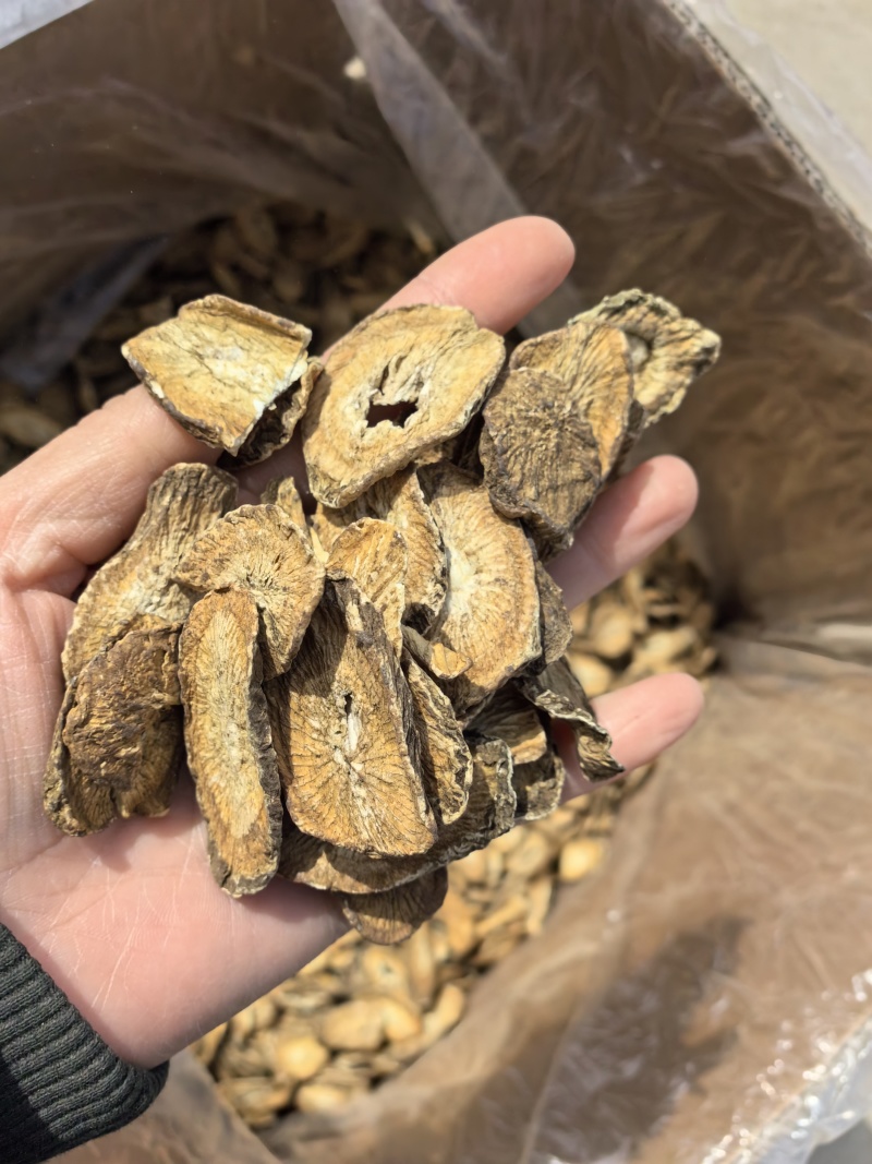 精选茶用黄金牛蒡茶实图拍摄物美价廉常年有货源