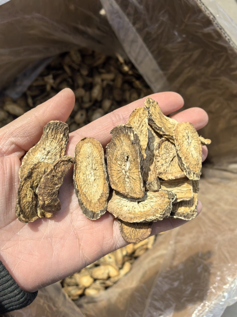 精选茶用黄金牛蒡茶实图拍摄物美价廉常年有货源
