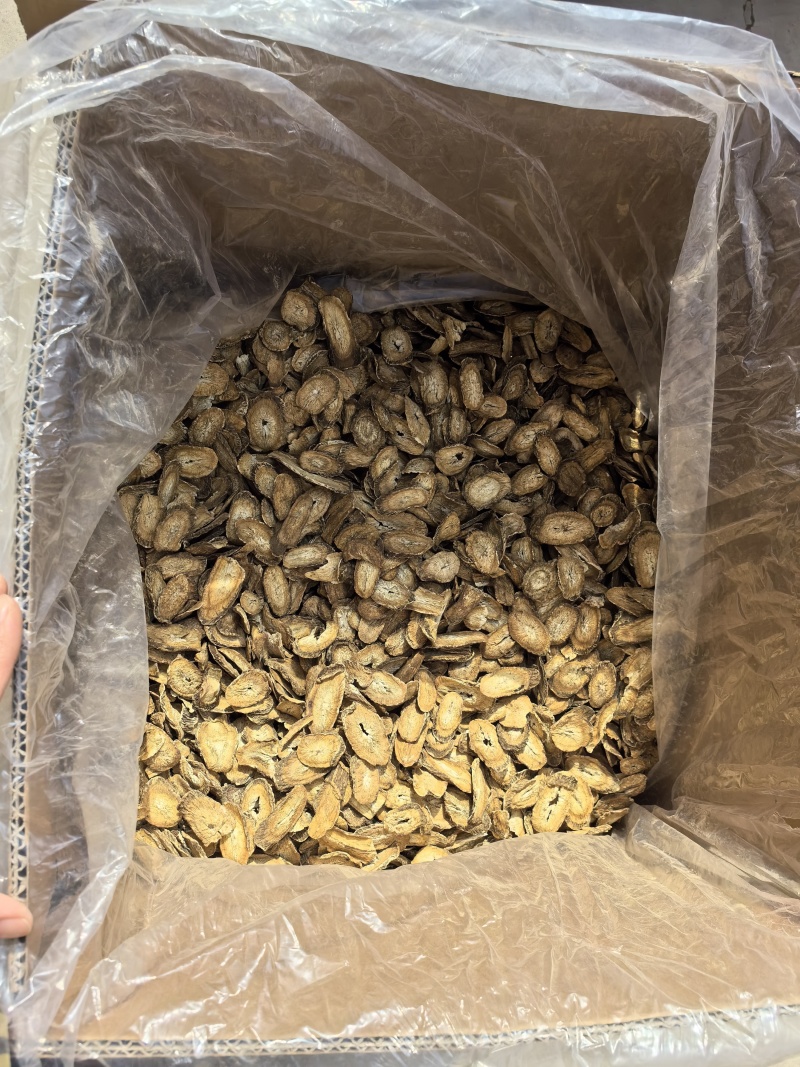精选茶用黄金牛蒡茶实图拍摄物美价廉常年有货源