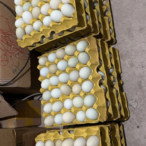 柴鸡蛋，土鸡蛋，绿壳芦花鸡蛋，纯粮散养农户自家养殖