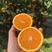 九月红脐橙65~70mm产地直供一手货源充足品质保证