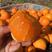 九月红脐橙65~70mm产地直供一手货源充足品质保证