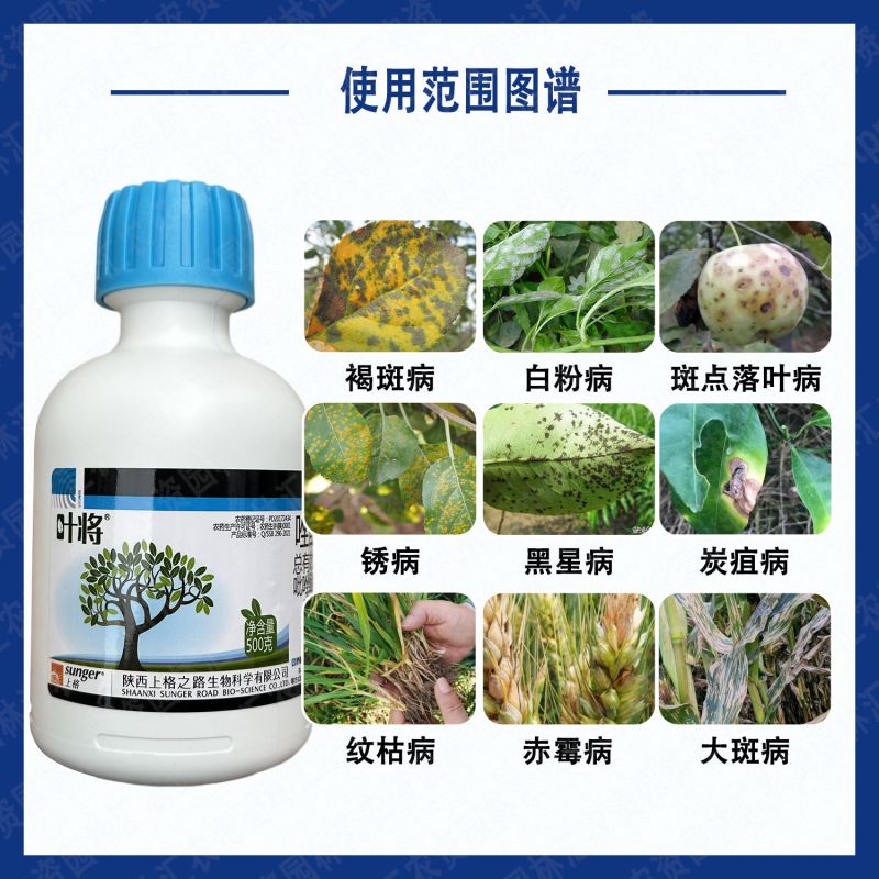 陕西上格叶将唑醚戊唑醇吡唑醚菌酯杀菌药纹枯病锈病白粉病