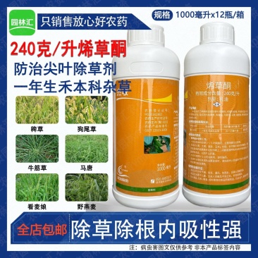 先达24%烯草酮除草剂尖叶草杀草药牛筋草马唐野燕麦