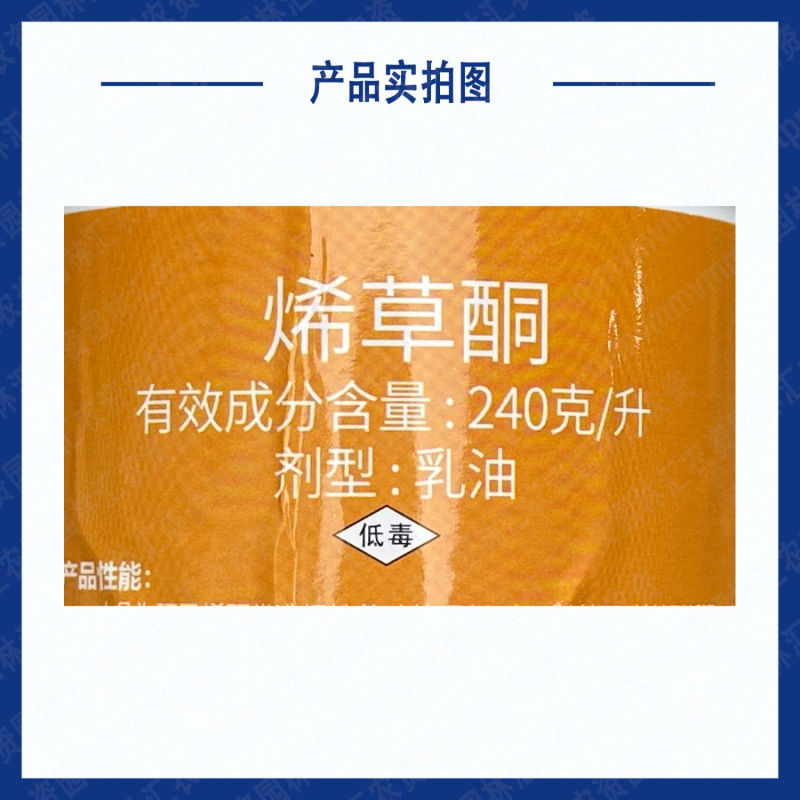 先达24%烯草酮除草剂尖叶草杀草药牛筋草马唐野燕麦