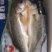 深海白蕉花刀开背海鲈鱼一箱20斤10条16条18条20条