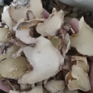 白芨白芨片正品无硫白芨片泽润中药批发零售