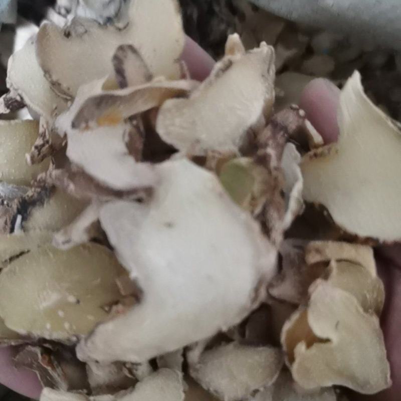 白芨白芨片正品无硫白芨片泽润中药批发零售