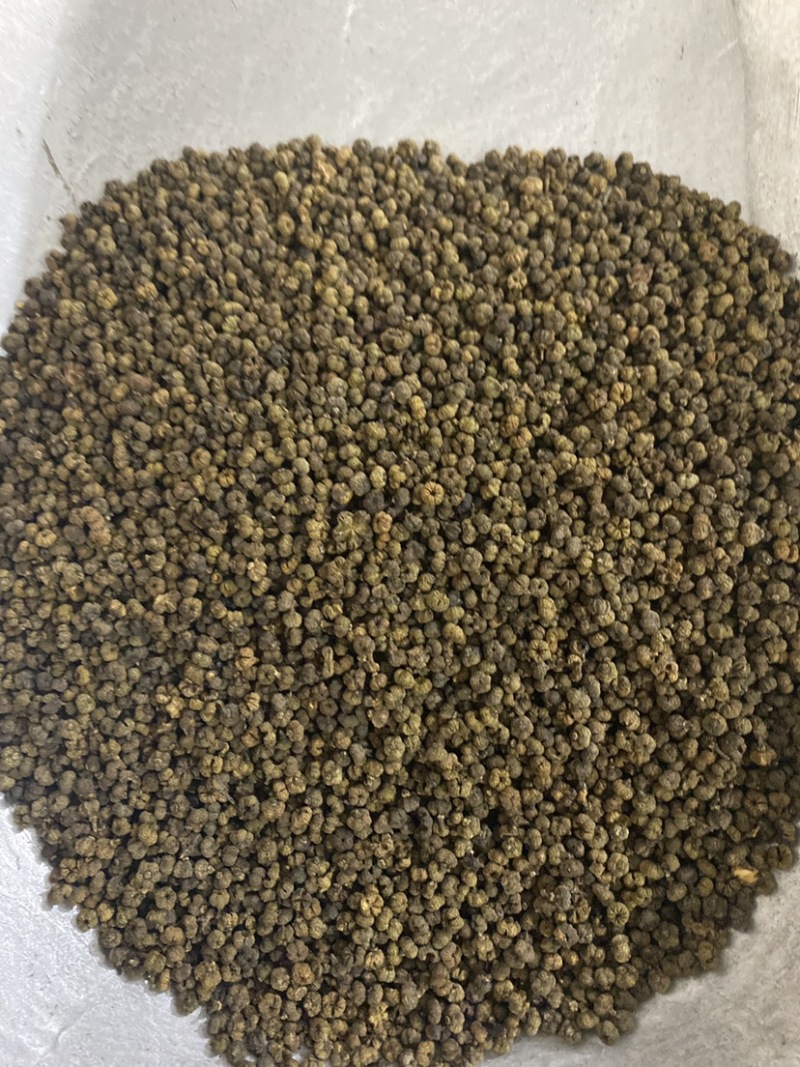 吴茱萸