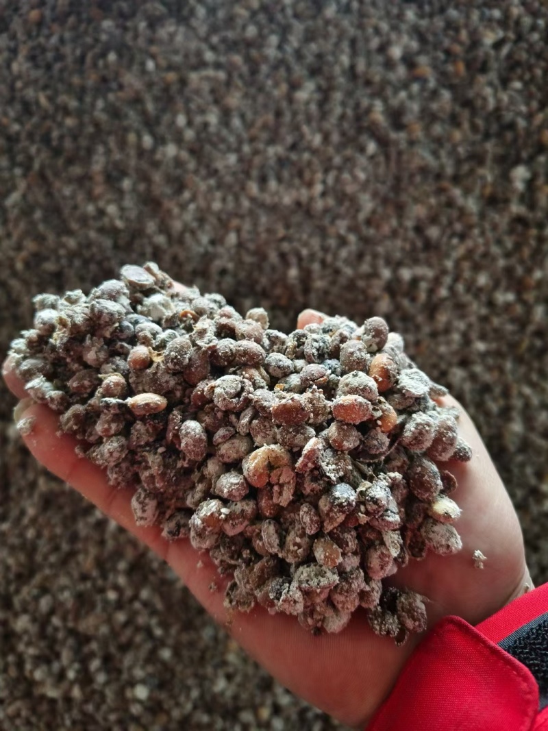 益生菌发酵大豆，纯大豆发酵有机质90%，高蛋白，全国发货