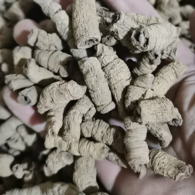 巴戟肉纯干大肉巴戟肉泽润中药批发零售各种中药材