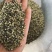 火麻仁