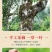 【红茶】野生古树红茶欢迎来电采购高香蜜香茶农直供