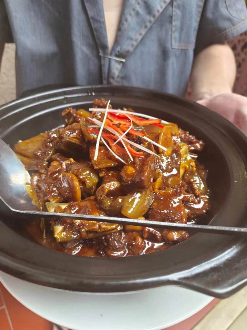 高品质温室甲鱼，源头饲养土鳖，营养丰富，量大从优，欢迎咨
