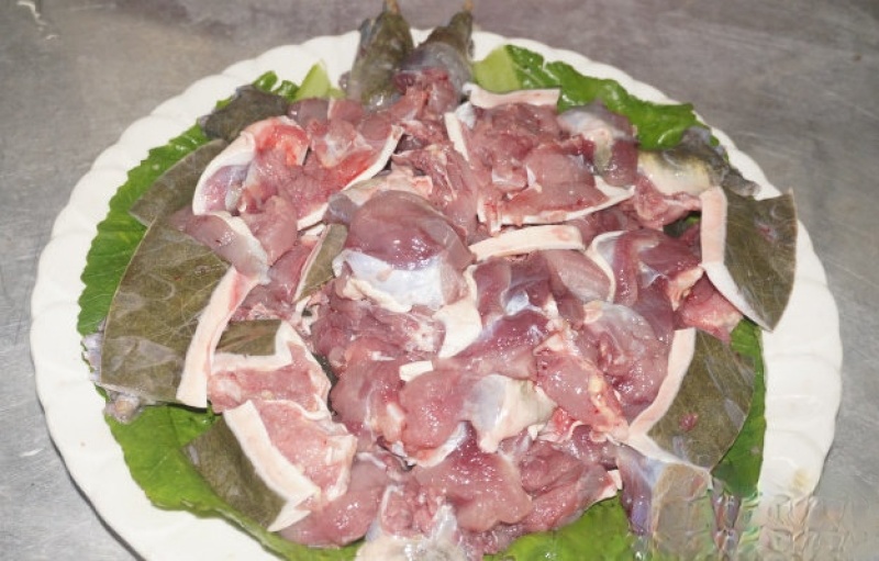 高品质温室甲鱼，源头饲养土鳖，营养丰富，量大从优，欢迎咨