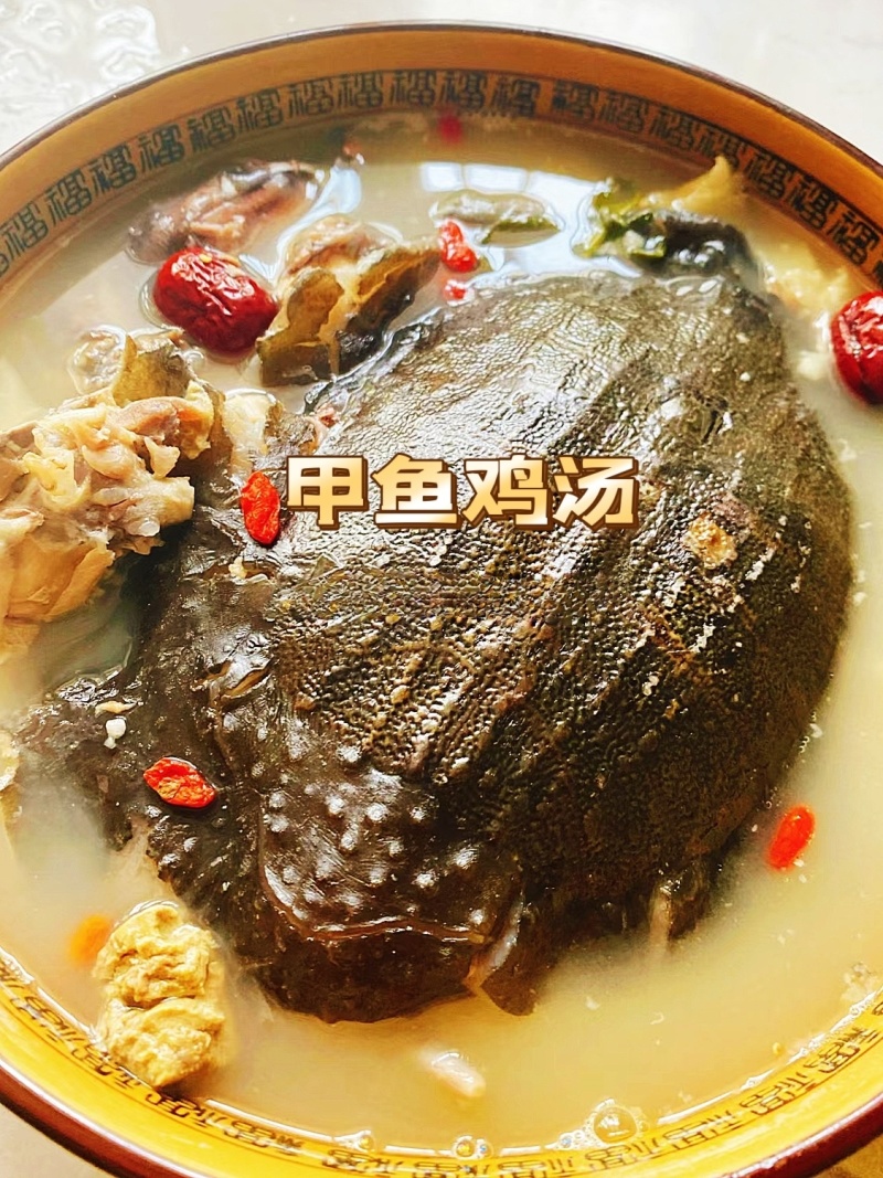 高品质温室甲鱼，源头饲养土鳖，营养丰富，量大从优，欢迎咨