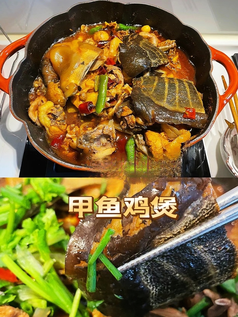 高品质温室甲鱼，源头饲养土鳖，营养丰富，量大从优，欢迎咨