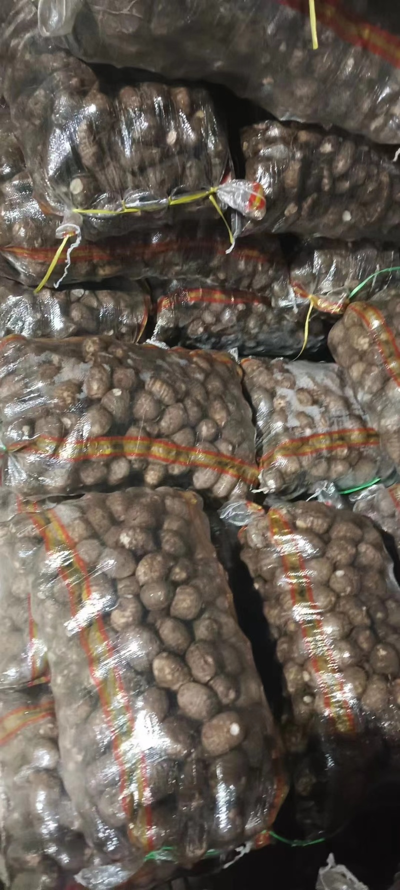 山东8520毛芋头子。产量高价格合适。技术指导