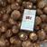 山东8520毛芋头子。产量高价格合适。技术指导