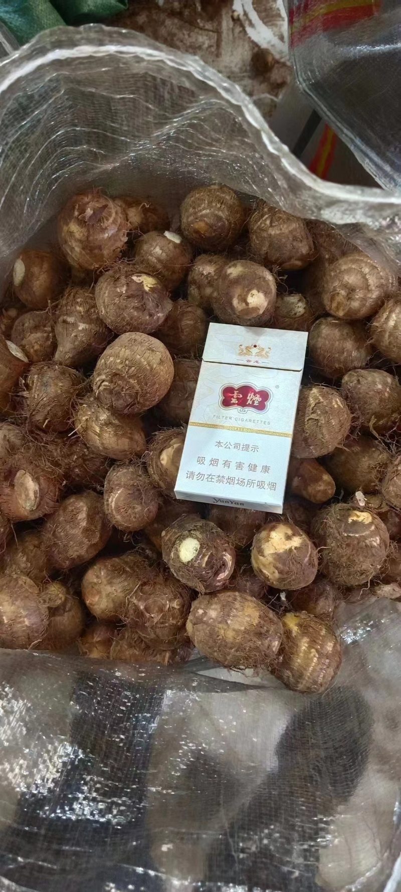 山东8520毛芋头子。产量高价格合适。技术指导