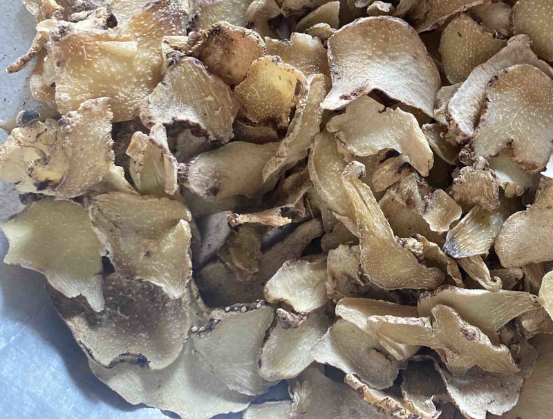 白芨片