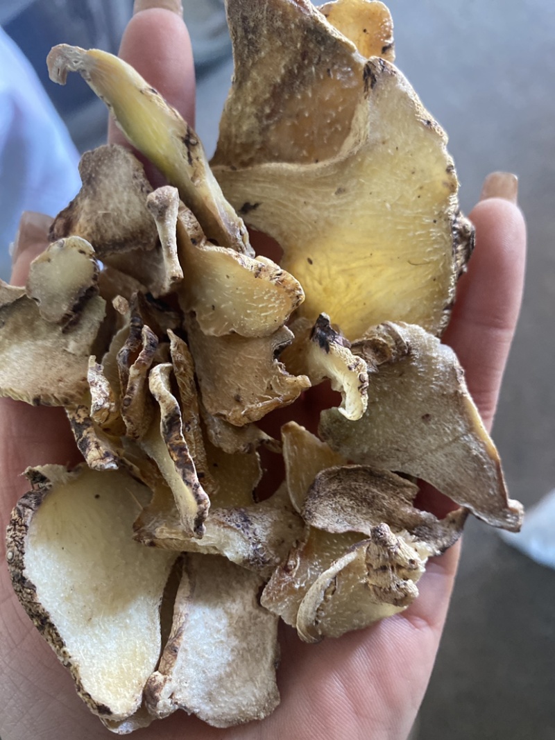 白芨片