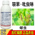 龙灯福朗12%联苯菊酯吡虫啉悬浮剂农药小麦蚜虫腻虫蜜虫杀