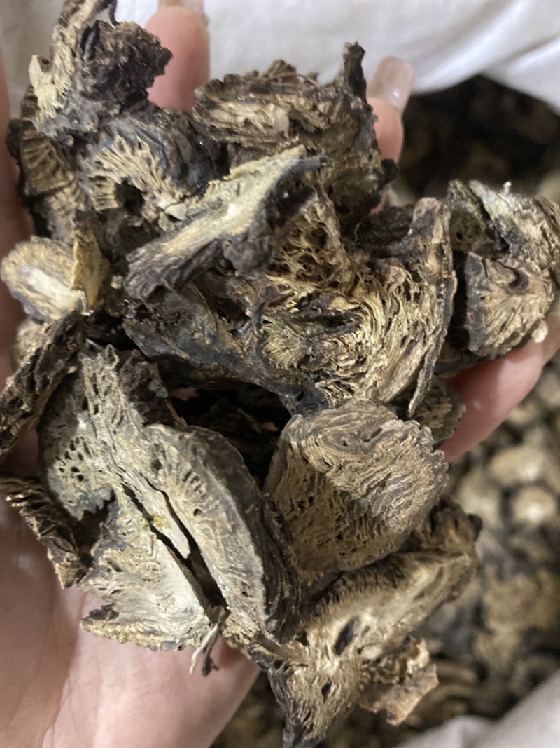 升麻