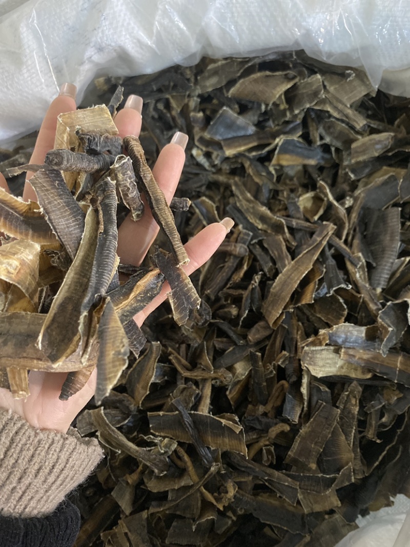 地龙全开地龙段产地货源实物拍摄中药材批发供应地龙