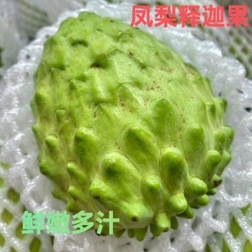 新鲜果园现采现发云南凤梨采释迦果应季水果牛奶冰淇淋口感营