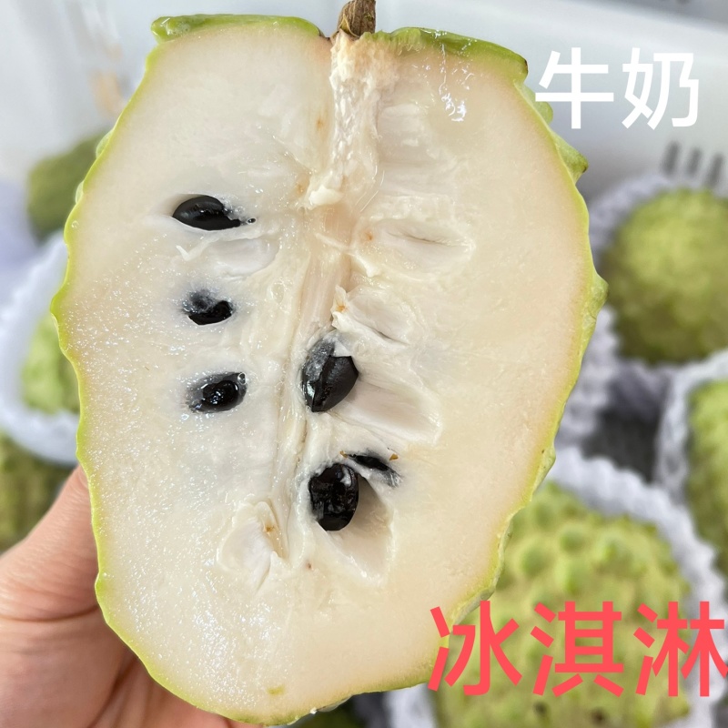 新鲜果园现采现发云南凤梨采释迦果应季水果牛奶冰淇淋口感营