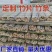 竹片河南小拱棚育苗支架大棚竹片竹杆支撑杆竹制量大从优电联