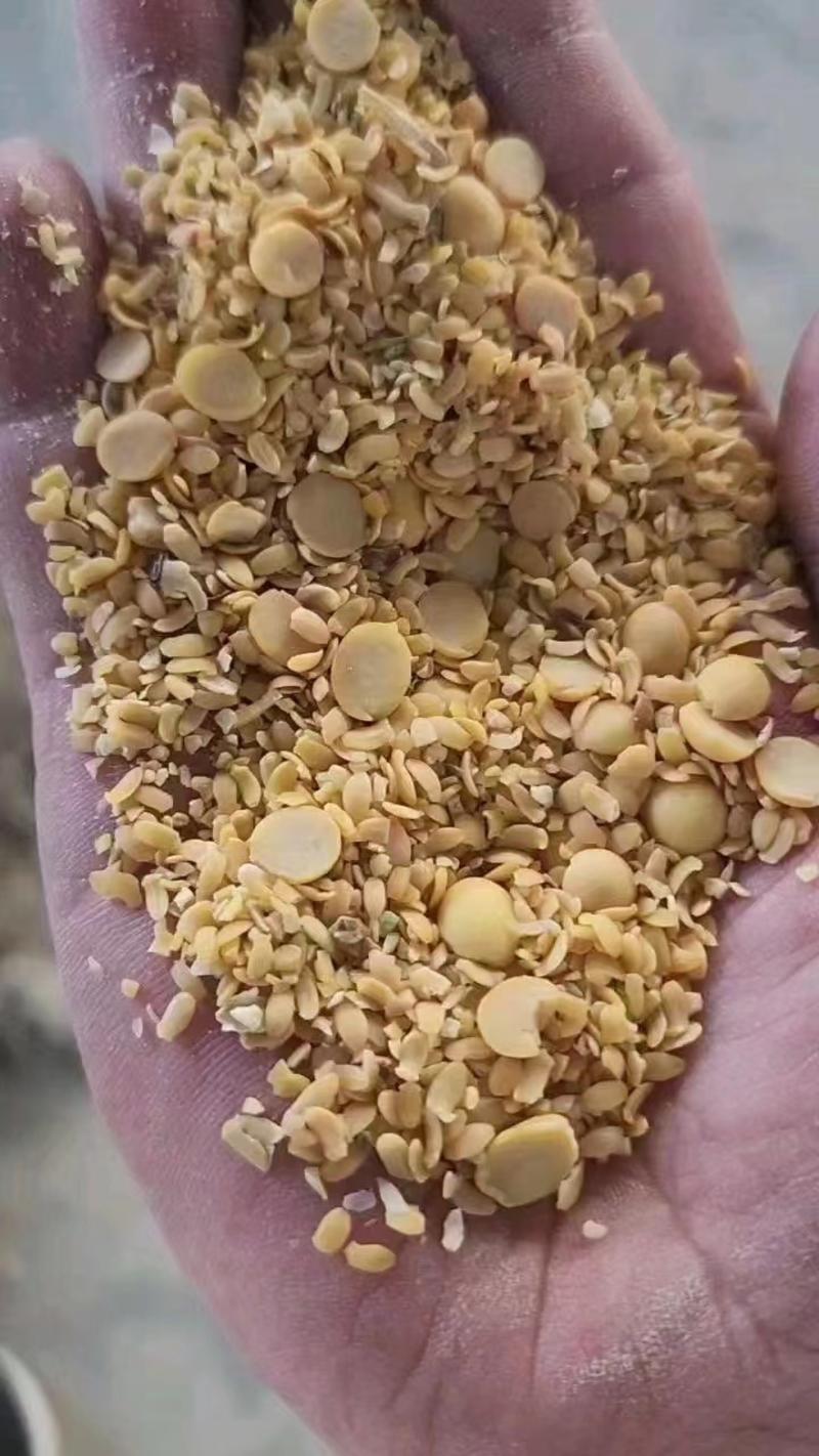 碎大豆上地肥料豆养殖饲料豆