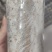 特级茯苓菌种/自家基地/保质保量/全国供应批发
