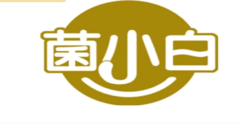特级茯苓菌种/自家基地/保质保量/全国供应批发